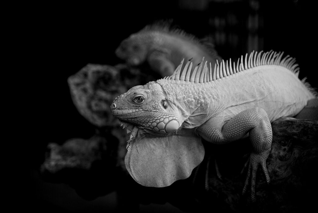 美顔器が逆効果になる理由とは？