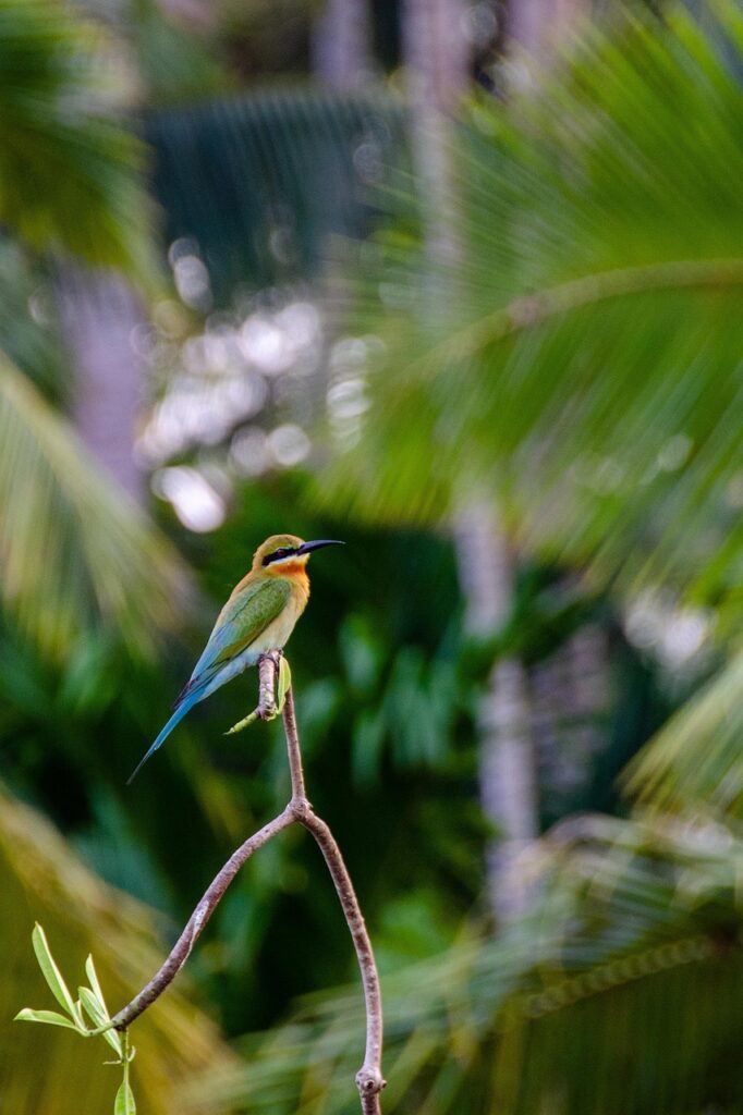 美顔器の使用頻度はどのくらいが効果的？