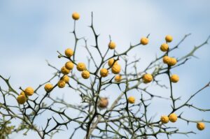 美顔器効果を最大限に引き出す使い方は？