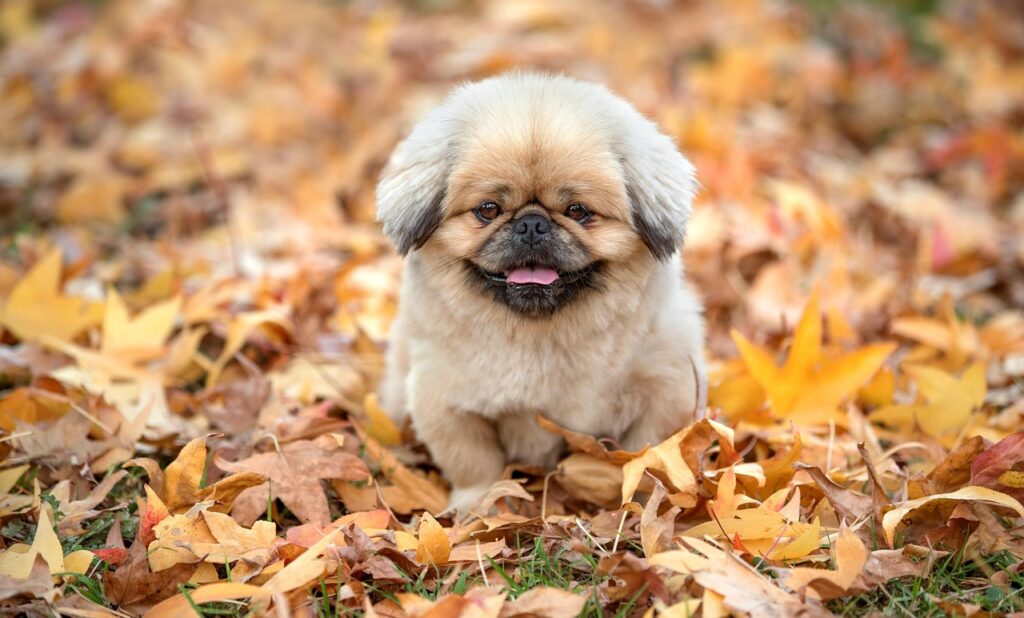 美顔器を使う頻度はどのくらいが理想的ですか？