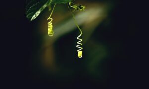 LED美顔器の正しい使い方とは？