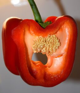 美顔器の仕組みはどのように肌を改善するのか？