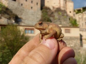 美顔器を使った肌荒れ改善の効果はどれほど期待できる？