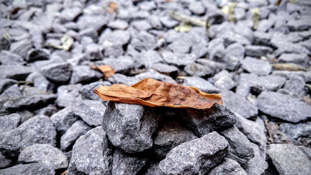 公式サイト限定の特典付き美顔器とは何ですか？