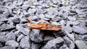 公式サイト限定の特典付き美顔器とは何ですか？