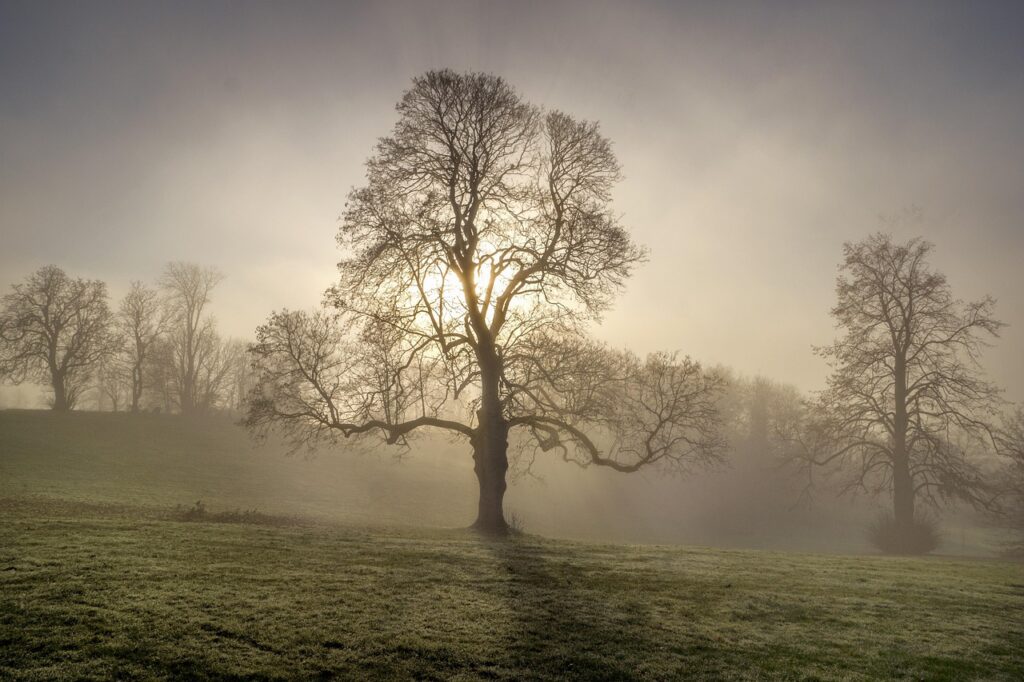 ジェルなしで使える美顔器の探し方は？