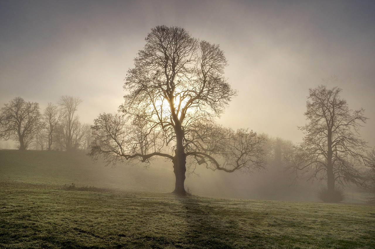 ジェルなしで使える美顔器の探し方は？