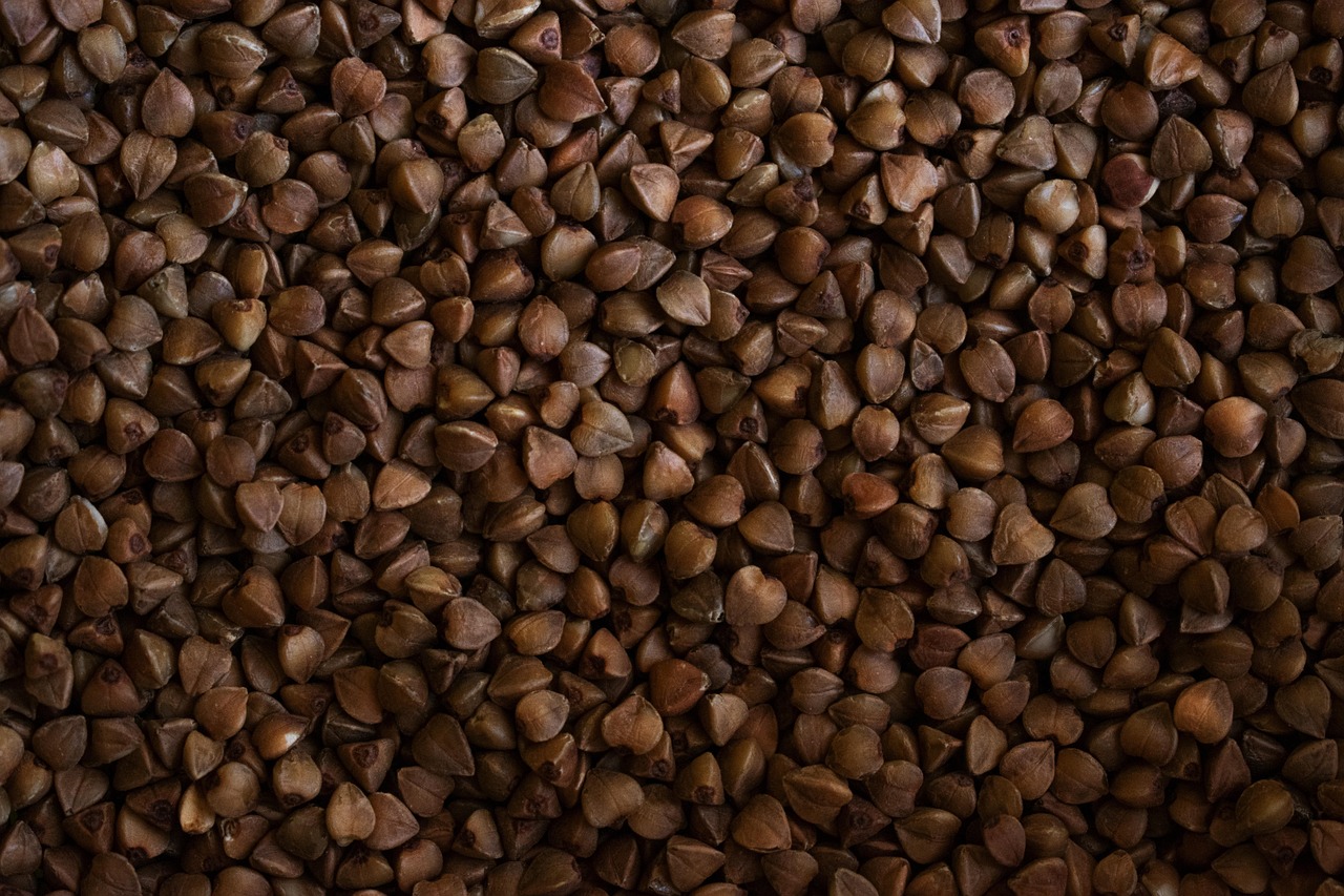 学割が使える美顔器のブランドの探し方は？