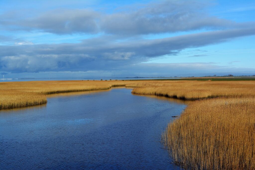 低周波EMSレベル調整機能を備えた美顔器の効果とは？