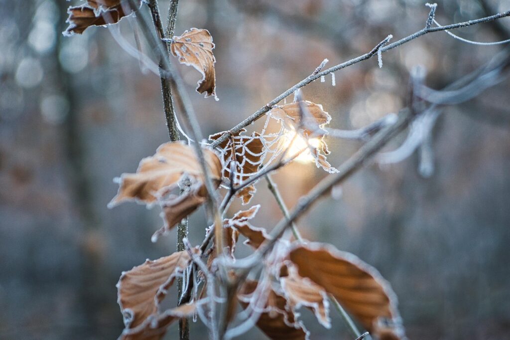 レチノールとRF併用で乾燥しやすい人が注意すべきポイントは？