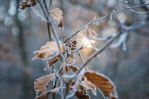 レチノールとRF併用で乾燥しやすい人が注意すべきポイントは？