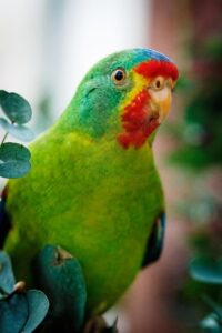 美顔器を半年続けた人のメリットデメリットとは？