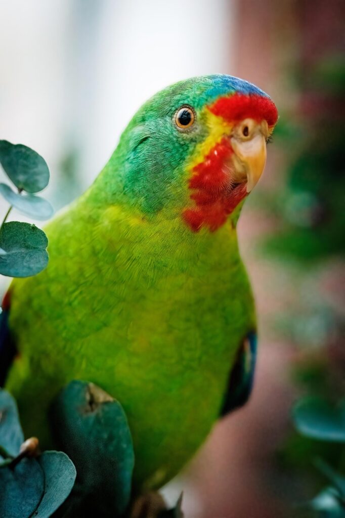 美顔器を半年続けた人のメリットデメリットとは？