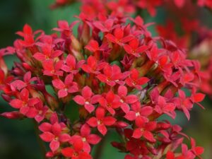 美顔器を夜使うと眠れない人のための温熱注意対策は？