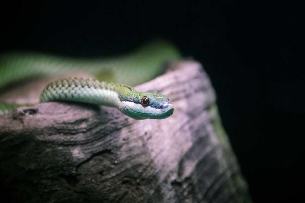 美顔器を続けやすい置き場所は洗面所か寝室か？
