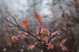 美顔器はなぜ雑誌掲載が多い？参考度の見方とその理由を解説！