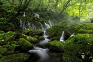 美顔器の評判を比較して、自分に合った選び方は？